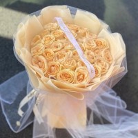 ߮ʻٵ